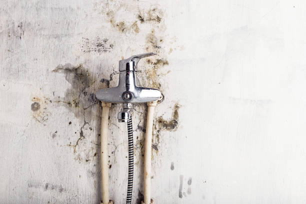 Best Mold Cleaning Services  in Lamont, CA