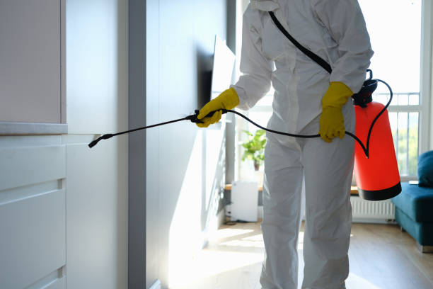 Best Mold Testing and Removal  in Lamont, CA